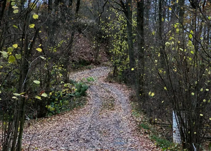 Chaloupka V Lese U Kutné Hory Horská chata
